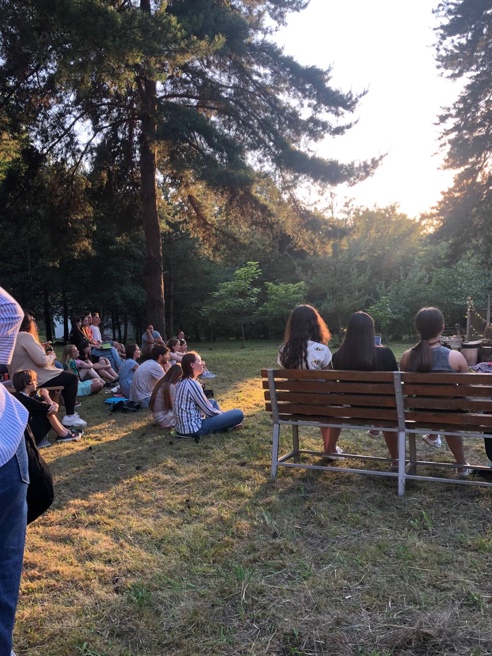 Вечірнє коло Feel Free Camp у соснах на заході сонця
